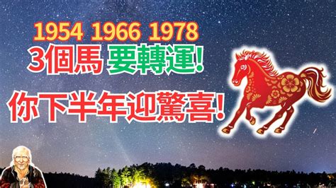 1978生肖馬|1978年生肖馬的一生